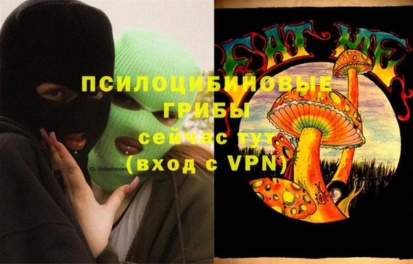 мдпв Вяземский