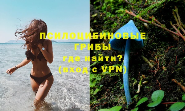 каннабис Волоколамск