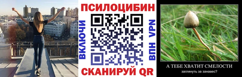 hydra зеркало  Высоцк  Галлюциногенные грибы мухоморы 