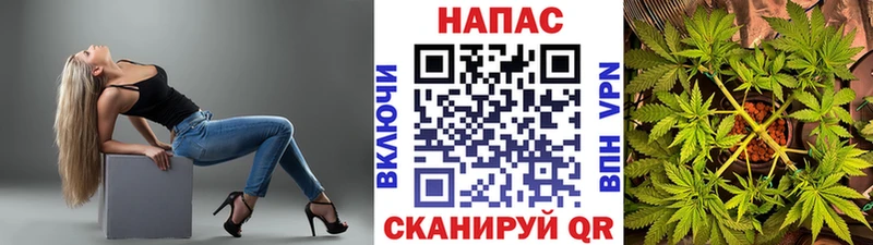 Каннабис MAZAR  Высоцк 